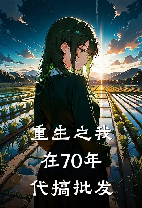 重生之我在70年代搞批发