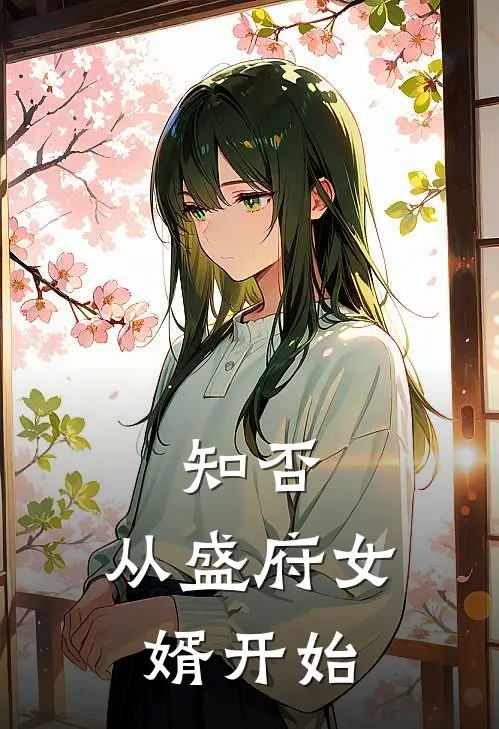 知否：从盛府女婿开始