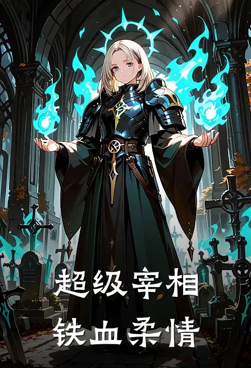 超级宰相：铁血柔情