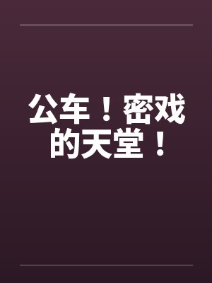 公车!密戏的天堂!