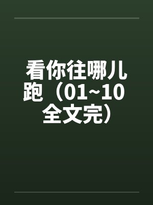 看你往哪儿跑(01~10 全文完)