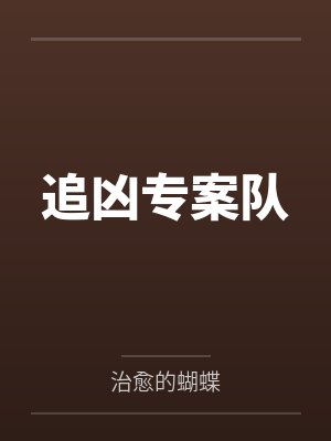 追凶专案队